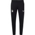 Castore Feyenoord Training Pant 2024/2025