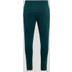 Castore Feyenoord Training Pant 2024/2025