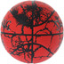 Spalding Flight Crack