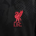Nike Liverpool Pre-Match Top 2024/2025
