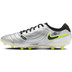 Nike Tiempo Legend 10 Pro AG-Pro