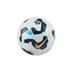 Nike Skills Bal