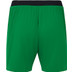 Castore Feyenoord 3rd Tenue