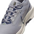 Nike Pegasus Trail 5 GTX Herren