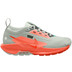 Nike Pegasus Trail 5 GTX Dam
