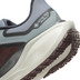 Nike Pegasus 41 GTX Herr
