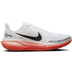 Nike Pegasus 41 EK Heren