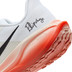 Nike Pegasus 41 EK Heren