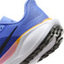 Nike Pegasus 41 Damen