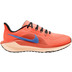 Nike Pegasus 41 Herren