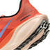 Nike Pegasus 41 Herren