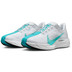 Nike Pegasus Plus Heren