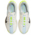 Nike Pegasus Plus Heren