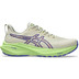 ASICS GT-2000 13 TR Herr