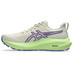 ASICS GT-2000 13 TR Herr