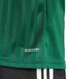adidas Campeon 25 Training Shirt