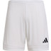 adidas Squadra 25 Träningsset