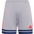 adidas Squadra 25 Trainingsset