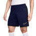 Nike Academy Trainings-Set