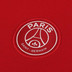 Nike Paris Saint-Germain Strike Träningsset Barn
