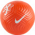 Nike Nederland Academy Bal Leeuwinnen - Maat 5