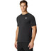 Castore Flow Training Set