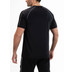 Sjeng Sports Herren Set 38