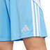 adidas Tiro 24 Training Short