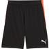 Puma LIGA Training Short