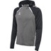 Hummel Lead 2.0 Zip Hoodie Men