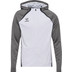 Hummel Lead 2.0 Zip Hoodie Men