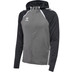 Hummel Lead 2.0 Zip Hoodie Dames