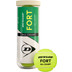 Dunlop Fort All Court TS 3 St.
