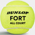 Dunlop Fort All Court TS 3 St.