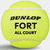 Dunlop Fort All Court TS 4 St.
