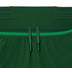 Lacoste Djokovic Short