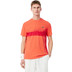Lacoste Djokovic Tee