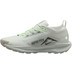 Nike Pegasus Trail 5 GTX Herr