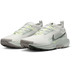 Nike Pegasus Trail 5 GTX Men