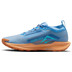 Nike Pegasus Trail 5 GTX Heren