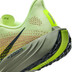 Nike Pegasus Plus Dam