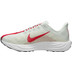 Nike Pegasus Plus Heren