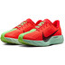 Nike Pegasus Plus Heren