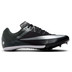 Nike Rival Sprint