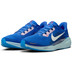Nike Pegasus 41 CM Heren