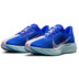 Nike Pegasus Plus CM Herren