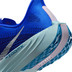 Nike Pegasus Plus CM Herren