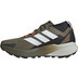 adidas Terrex Agravic GTX Heren