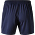 New Balance OSC Lille Trainingsset