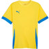 PUMA GOAL Träningströja